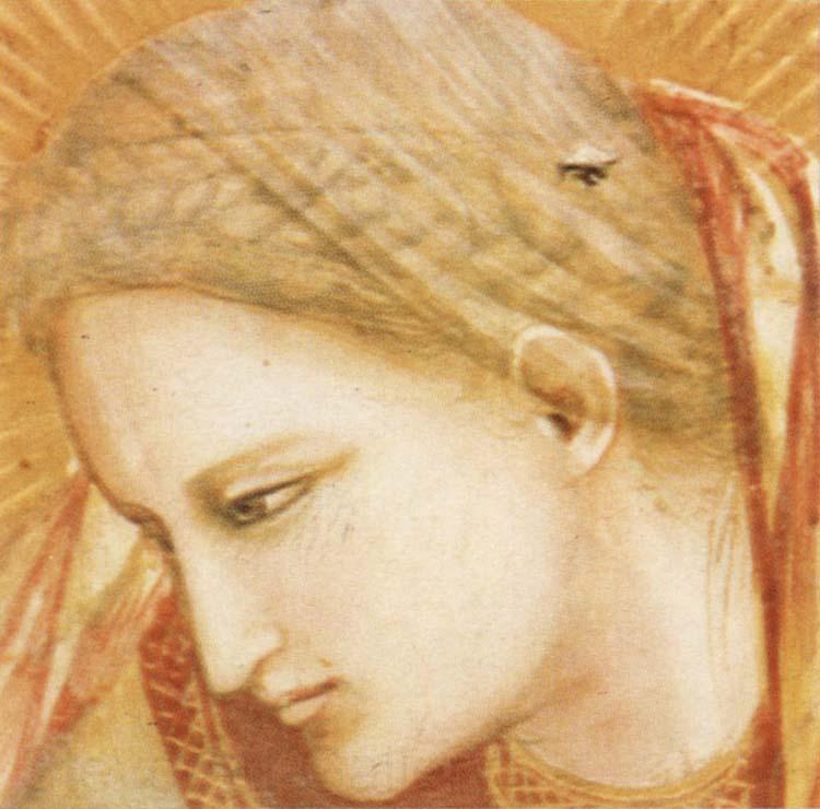 GIOTTO di Bondone Detail of Birth of Christ Spain oil painting art